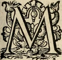 Picture 48 of 100 from Iohannis de Brunes I.C. Emblemata of zinne-werck : voorghestelt in beelden, ghedichten, en breeder uijt-legginghen, tot uijt-druckinghe en verbeteringhe van verscheijden feijlen onser eeuwe (1636), leaf 188