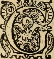 An illustration from Iohannis de Brunes I.C. Emblemata of zinne-werck : voorghestelt in beelden, ghedichten, en breeder uijt-legginghen, tot uijt-druckinghe en verbeteringhe van verscheijden feijlen onser eeuwe (1636)