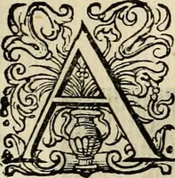 An illustration from Iohannis de Brunes I.C. Emblemata of zinne-werck : voorghestelt in beelden, ghedichten, en breeder uijt-legginghen, tot uijt-druckinghe en verbeteringhe van verscheijden feijlen onser eeuwe (1636)