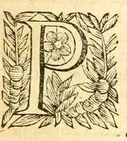 Picture 9 of 13 from Iohannis Schröderi, doct. medici, nec non Reipublicæ Moeno-Francofurtanae physici ordinarii, Pharmacopëia medico-chymica : sive, Thesaurus pharmacologicus. Quo composita quæque celebriora; hinc mineralia, vegetabilia & animalia chymico-medicè describuntur, atque insuper principia physicè Hermetico Hippocraticæ candidè exhibentur (1656), leaf 53
