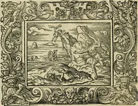 Picture 145 of 181 from Iohan. Posthii Germershemii Tetrasticha in Ovidii Metam. lib. XV. qvibus accesserunt Vergilij Solis figurae elegantiss. & iam primùm in lucem editae = Schoene Figuren auss dem fuertrefflichen Poeten Ouidio, allen Malern, Goldtschmiden, und Bildthauwern, zü nutz unnd gütem mit fleiss gerissen (1563), leaf 165