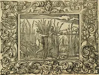 Picture 20 of 181 from Iohan. Posthii Germershemii Tetrasticha in Ovidii Metam. lib. XV. qvibus accesserunt Vergilij Solis figurae elegantiss. & iam primùm in lucem editae = Schoene Figuren auss dem fuertrefflichen Poeten Ouidio, allen Malern, Goldtschmiden, und Bildthauwern, zü nutz unnd gütem mit fleiss gerissen (1563), leaf 39