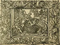 Picture 30 of 181 from Iohan. Posthii Germershemii Tetrasticha in Ovidii Metam. lib. XV. qvibus accesserunt Vergilij Solis figurae elegantiss. & iam primùm in lucem editae = Schoene Figuren auss dem fuertrefflichen Poeten Ouidio, allen Malern, Goldtschmiden, und Bildthauwern, zü nutz unnd gütem mit fleiss gerissen (1563), leaf 49