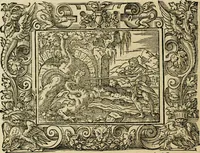 Picture 40 of 181 from Iohan. Posthii Germershemii Tetrasticha in Ovidii Metam. lib. XV. qvibus accesserunt Vergilij Solis figurae elegantiss. & iam primùm in lucem editae = Schoene Figuren auss dem fuertrefflichen Poeten Ouidio, allen Malern, Goldtschmiden, und Bildthauwern, zü nutz unnd gütem mit fleiss gerissen (1563), leaf 59