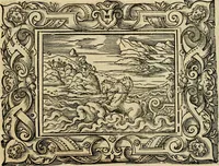 Picture 65 of 181 from Iohan. Posthii Germershemii Tetrasticha in Ovidii Metam. lib. XV. qvibus accesserunt Vergilij Solis figurae elegantiss. & iam primùm in lucem editae = Schoene Figuren auss dem fuertrefflichen Poeten Ouidio, allen Malern, Goldtschmiden, und Bildthauwern, zü nutz unnd gütem mit fleiss gerissen (1563), leaf 84
