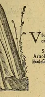 Picture 7 of 8 from Iohan. VVolfii I. C. Lectionum memorabilium et reconditarum centenarii XVI. : Habet hic lector doctorum ecclesiae, vatum, politicorum, philosophorum, historicorum, aliorumq[ue] sapientum & eruditorum pia, grauia, mira, arcana, & stupenda; iucunda simul & vtilia, dicta, scripta, atq[ue] facta; Vaticinia item vota, omina, mysteria, hieroglyphica, miracula, visiones, antiquitates, monumenta, testimonia, exempla virtutu[m], vitiorum, abusuum; typos insuper, picturas, atq[ue] imagines: Sed et ipsius coeli ac naturae horrenda signa, ostenta, monstra, atq[ue] portenta: His interiuncti sunt quoq[ue] omnes sacri prophaniq[ue] ordines: Ex quibus omnibus cum praeteriti status in ecclesia, republica, & communi vita consideratio; tum impendentium euentuum, ac indies magis magisq[ue] ingrauescentium malorum praesagitio: sed & multorum abstrusorum hactenus desideratorum reuelatio ob oculos perspicuè ponitur (1600), leaf 903