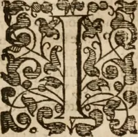An illustration from Iohn Barclay his Argenis (1628)