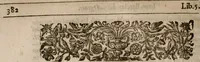 An illustration from Iohn Barclay his Argenis (1628)