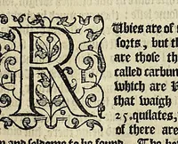 An illustration from Iohn Huighen van Linschoten his Discours of voyages into ye Easte & West Indies : deuided into foure bookes (1598)