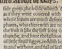 An illustration from Iohn Huighen van Linschoten. His discours of voyages into ye Easte & West Indies. : Deuided into foure bookes (1598)