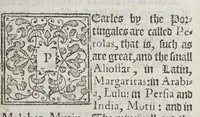 An illustration from Iohn Huighen van Linschoten. His discours of voyages into ye Easte & West Indies. : Deuided into foure bookes (1598)