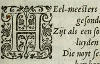 An illustration from Ioh. van Bevervvijck Heel-konste, ofte, Derde deel van de genees-konste : om de uytwendige gebreken te heelen. Verhandeling der spieren : by de welcke aengewesen wort, wat in hun onnatuyrige toe-vallen en te voor-seggen en te hantwercken staet / beleedt door Fortunatum Plempium .. (1645)