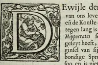 Picture 3 of 9 from Ioh. van Bevervvijck Heel-konste, ofte, Derde deel van de genees-konste : om de uytwendige gebreken te heelen. Verhandeling der spieren : by de welcke aengewesen wort, wat in hun onnatuyrige toe-vallen en te voor-seggen en te hantwercken staet / beleedt door Fortunatum Plempium .. (1645), leaf 53