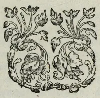An illustration from Ioh. van Bevervvijck Heel-konste, ofte, Derde deel van de genees-konste : om de uytwendige gebreken te heelen. Verhandeling der spieren : by de welcke aengewesen wort, wat in hun onnatuyrige toe-vallen en te voor-seggen en te hantwercken staet / beleedt door Fortunatum Plempium .. (1645)