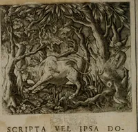 Picture 82 of 83 from Io. Mercerii I.C. Emblemata (1592), leaf 113