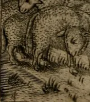 An illustration from Io. Mercerii I.C. Emblemata (1592)