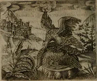 An illustration from Io. Mercerii I.C. Emblemata (1592)