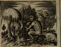 An illustration from Io. Mercerii I.C. Emblemata (1592)