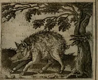 An illustration from Io. Mercerii I.C. Emblemata (1592)