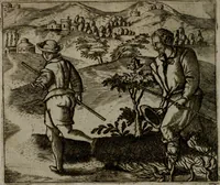 An illustration from Io. Mercerii I.C. Emblemata (1592)