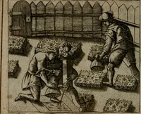 An illustration from Io. Mercerii I.C. Emblemata (1592)