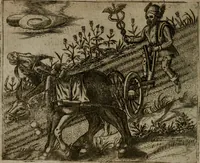 An illustration from Io. Mercerii I.C. Emblemata (1592)
