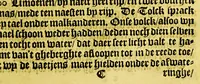 An illustration from Iournal ofte beschryvinghe van de wonderlicke reyse, : ghedaen door Willem Cornelisz Schouten van Hoorn, inde jaren 1615. 1616. en 1617. Hoe hy bezuyden de Strate van Magellanes een nieuwe passagie tot inde groote Zuydzee ontdeckt, en voort den gheheelen aerdkloot omgheseylt, heeft. Wat Eylanden, vreemde volcken en wonderlicke avontueren hem ontmoet zijn (1618)