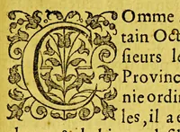 An illustration from Iournal ou description du merveilleux voyage de Guilliaume Schouten, Hollandois natif de Hoorn, : fait es années 1615, 1616 & 1617. Comme (en circumnavigeant le globe terrestre) il a decouvert vers le zud du destroit de Magellan un nouveau passage, jusques à la grand mer de Zud. Ensemble, des avantures admirables qui luy sont advenues en descouvrant de plusieurs isles, & peuples estranges. (1618)