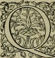 An illustration from Pavli Iovii novocomensis Vitae dvodecim vicecomitvm Mediolani principvm : ex Bibliotheca regia (1549)