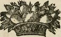 An illustration from Iovrnavx historiques: contenans tout ce qui s'est passé de plus remarquable dans le voyage du roy, & de Son Eminence, depuis leur depart de Paris, le 25. iuin de l'an 1659 : pour le traitté du mariage de sa majesté, & de la paix generale, jusqu'à leur retour : auec une exacte recherche de ce qui s'est fait dans le conferences des deux ministres, & dans le mariage du roy auec l'infante d'Espagne à Fontarabie, & à S. Iean de Lus : et leur entrée dans toutes les villes de leur passage, & leur triomphe dans leur bonne ville de Paris / par le Sieur F.C (1660)