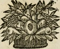 An illustration from Iovrnavx historiques: contenans tout ce qui s'est passé de plus remarquable dans le voyage du roy, & de Son Eminence, depuis leur depart de Paris, le 25. iuin de l'an 1659 : pour le traitté du mariage de sa majesté, & de la paix generale, jusqu'à leur retour : auec une exacte recherche de ce qui s'est fait dans le conferences des deux ministres, & dans le mariage du roy auec l'infante d'Espagne à Fontarabie, & à S. Iean de Lus : et leur entrée dans toutes les villes de leur passage, & leur triomphe dans leur bonne ville de Paris / par le Sieur F.C (1660)