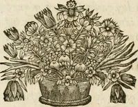 An illustration from Iovrnavx historiques: contenans tout ce qui s'est passé de plus remarquable dans le voyage du roy, & de Son Eminence, depuis leur depart de Paris, le 25. iuin de l'an 1659 : pour le traitté du mariage de sa majesté, & de la paix generale, jusqu'à leur retour : auec une exacte recherche de ce qui s'est fait dans le conferences des deux ministres, & dans le mariage du roy auec l'infante d'Espagne à Fontarabie, & à S. Iean de Lus : et leur entrée dans toutes les villes de leur passage, & leur triomphe dans leur bonne ville de Paris / par le Sieur F.C (1660)