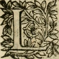 An illustration from Iovrnavx historiques: contenans tout ce qui s'est passé de plus remarquable dans le voyage du roy, & de Son Eminence, depuis leur depart de Paris, le 25. iuin de l'an 1659 : pour le traitté du mariage de sa majesté, & de la paix generale, jusqu'à leur retour : auec une exacte recherche de ce qui s'est fait dans le conferences des deux ministres, & dans le mariage du roy auec l'infante d'Espagne à Fontarabie, & à S. Iean de Lus : et leur entrée dans toutes les villes de leur passage, & leur triomphe dans leur bonne ville de Paris / par le Sieur F.C (1660)