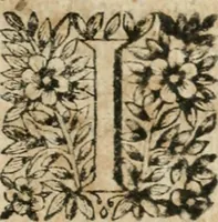 An illustration from Iovrnavx historiques: contenans tout ce qui s'est passé de plus remarquable dans le voyage du roy, & de Son Eminence, depuis leur depart de Paris, le 25. iuin de l'an 1659 : pour le traitté du mariage de sa majesté, & de la paix generale, jusqu'à leur retour : auec une exacte recherche de ce qui s'est fait dans le conferences des deux ministres, & dans le mariage du roy auec l'infante d'Espagne à Fontarabie, & à S. Iean de Lus : et leur entrée dans toutes les villes de leur passage, & leur triomphe dans leur bonne ville de Paris / par le Sieur F.C (1660)
