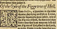 An illustration from Ioyfull newes out of the newfound world, : wherein are declared the rare and singular vertues of diuers and sundrie herbs, trees, oyles, plants, & stones, with their applications, as well to the vse of phisicke, as chirurgery ... (1580)