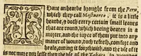 An illustration from Ioyfull newes out of the newfound world, : wherein are declared the rare and singular vertues of diuers and sundrie herbs, trees, oyles, plants, & stones, with their applications, as well to the vse of phisicke, as chirurgery ... (1580)