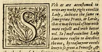 An illustration from Ioyfull newes out of the newfound world, : wherein are declared the rare and singular vertues of diuers and sundrie herbs, trees, oyles, plants, & stones, with their applications, as well to the vse of phisicke, as chirurgery ... (1580)