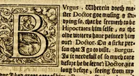 An illustration from Ioyfull newes out of the newfound world, : wherein are declared the rare and singular vertues of diuers and sundrie herbs, trees, oyles, plants, & stones, with their applications, as well to the vse of phisicke, as chirurgery ... (1580)