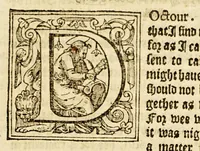 An illustration from Ioyfull newes out of the newfound world, : wherein are declared the rare and singular vertues of diuers and sundrie herbs, trees, oyles, plants, & stones, with their applications, as well to the vse of phisicke, as chirurgery ... (1580)