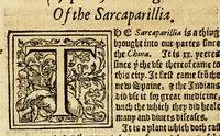 Picture 3 of 15 from Ioyfull newes out of the newfound world, : wherein are declared the rare and singular vertues of diuers and sundrie herbs, trees, oyles, plants, & stones, with their applications, as well to the vse of phisicke, as chirurgery ... (1580), leaf 40