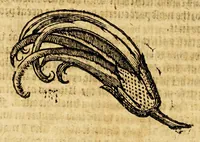An illustration from Ioyfull newes out of the new-found vvorlde. : Wherein are declared, the rare and singuler vertues of diuers herbs, trees, plantes, oyles & stones, with their applications, as well to the vse of phisicke, as of chirurgery ... (1596)