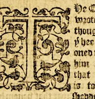An illustration from Ioyfull newes out of the new-found vvorlde. : Wherein are declared, the rare and singuler vertues of diuers herbs, trees, plantes, oyles & stones, with their applications, as well to the vse of phisicke, as of chirurgery ... (1596)