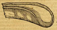 An illustration from Ioyfull newes out of the new-found vvorlde. : Wherein are declared, the rare and singuler vertues of diuers herbs, trees, plantes, oyles & stones, with their applications, as well to the vse of phisicke, as of chirurgery ... (1596)
