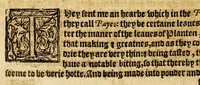 An illustration from Ioyfull newes out of the new-found vvorlde. : Wherein are declared, the rare and singuler vertues of diuers herbs, trees, plantes, oyles & stones, with their applications, as well to the vse of phisicke, as of chirurgery ... (1596)