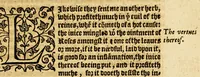 An illustration from Ioyfull newes out of the new-found vvorlde. : Wherein are declared, the rare and singuler vertues of diuers herbs, trees, plantes, oyles & stones, with their applications, as well to the vse of phisicke, as of chirurgery ... (1596)