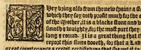 An illustration from Ioyfull newes out of the new-found vvorlde. : Wherein are declared, the rare and singuler vertues of diuers herbs, trees, plantes, oyles & stones, with their applications, as well to the vse of phisicke, as of chirurgery ... (1596)