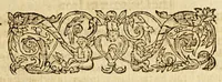 An illustration from Ioyfull newes out of the new-found vvorlde. : Wherein are declared, the rare and singuler vertues of diuers herbs, trees, plantes, oyles & stones, with their applications, as well to the vse of phisicke, as of chirurgery ... (1596)
