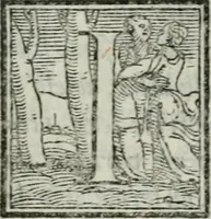 Picture 4 of 22 from I piacevoli et ingeniosi discorsi in piv lettere compresi, e ne la lingua antica uolgari dechiariti. Nei qvali si contengono varii cherebizzi, e fantastiche fantasi philosophiche in varie materie, pur sempre à le uertù accostate (1557), leaf 15