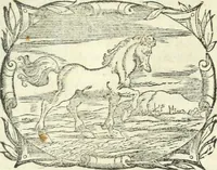 An illustration from I piacevoli et ingeniosi discorsi in piv lettere compresi, e ne la lingua antica uolgari dechiariti. Nei qvali si contengono varii cherebizzi, e fantastiche fantasi philosophiche in varie materie, pur sempre à le uertù accostate (1557)