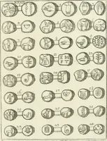 Picture 98 of 107 from I piombi antichi (1740), leaf 294